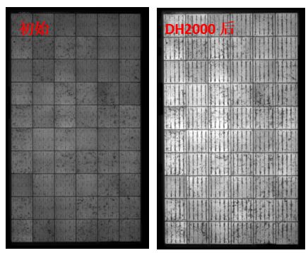 圖13 組件采用VA33含量EVA封裝后，DH2000前后的EL圖